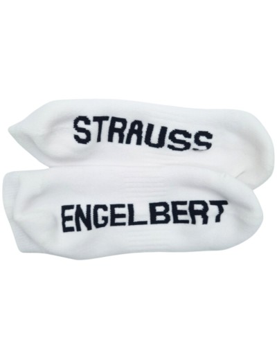 Шкарпетки Engelbert Strauss 3 пари